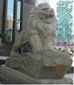 石狮子北京狮 5