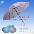 福州晴雨伞 1