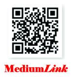 Medium Link System Technology CO., LTD.