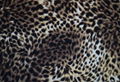 Nylon polyamide shiny bright microfiber microfibre elastic knitted fabric 5