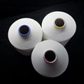 Nylon polyamide 66 DTY functionl yarn