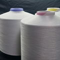 Nylon polyamide 66 DTY functionl yarn 2