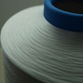 Nylon polyamide 66 DTY functionl yarn 4