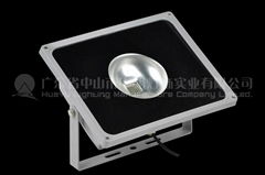 10W 50W LED Flood Light