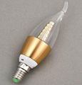 1*1W&3W Bulb  LED Candle Light 2