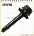 Captive screw 1