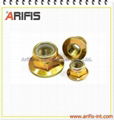 Brass nuts 1