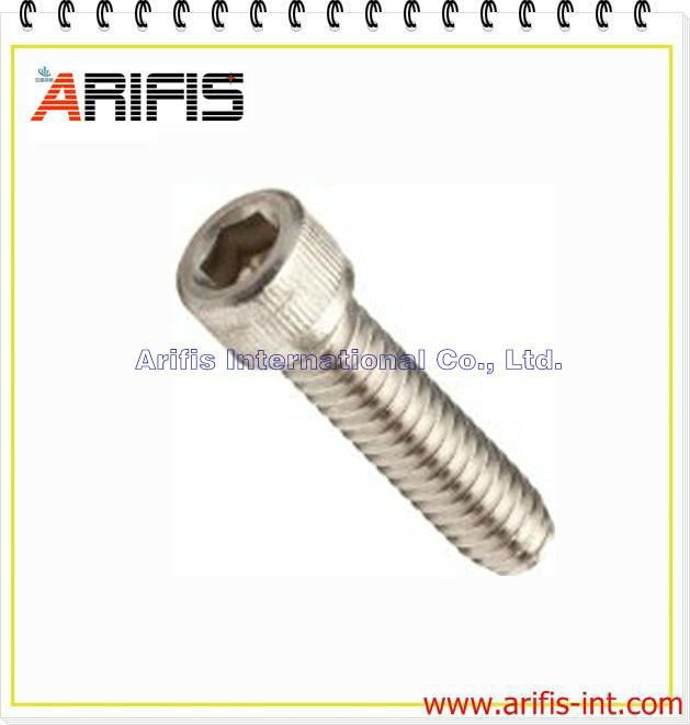 Stainless steel bolts 2