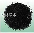 Coconut shell activated carbon for water purification 1