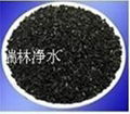 Nutshell activated carbon for gold extracting 1