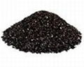 Activated carbon permeated silver