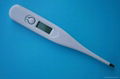 digital thermometer 1