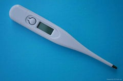 digital thermometer