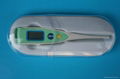 digital thermometer 1