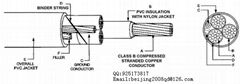 UL美標電力和控制用VNTC(TC-ER)