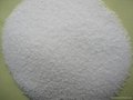 Monopentaerythritol, PETP(use for Drying oils,Flame-retardant coating）