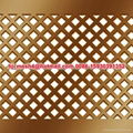 Stainless Steel Perforated Metal 5