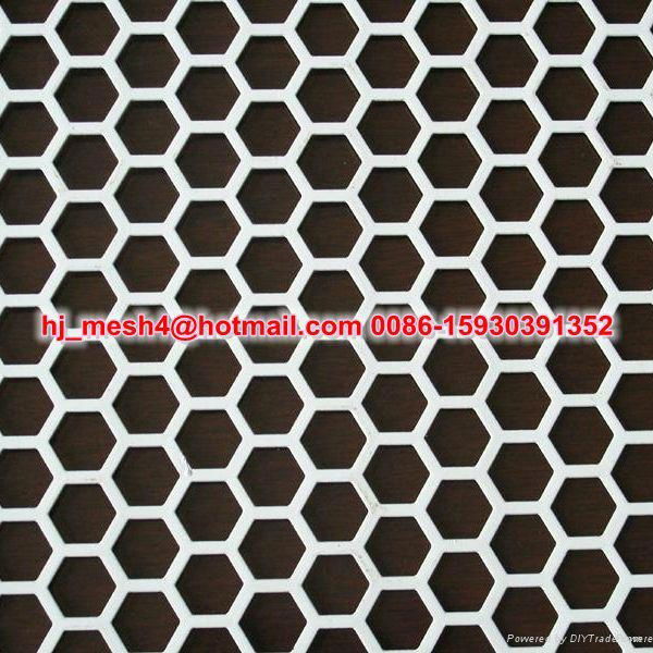 Decorative Perforated Metal  3