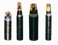 PVC Insulated & Sheath Power Cable of 0.6/1 kV or Lower 1