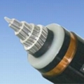 XLPE Insulated Power Cable