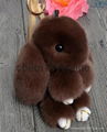 Popular Cute Real Rex Rabbit Fur Rabbit