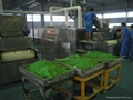 供應化工物料微波烘乾設備