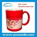 Color changing coating  mug