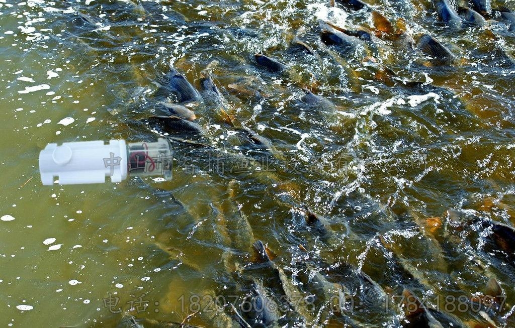 美国声光诱鱼2型电子诱鱼器