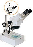 NTB-2B zoom stereo Microscope