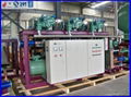Multi Screw Compressor racks refrigeration equipment cold room 2