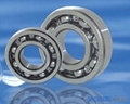 deep groove ball bearing 6215ZZ 3