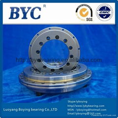 YRT Rotary table bearing Turntable bearing