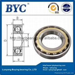 Ball Screw bearing BS series