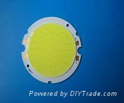 20W COB LED Down Light