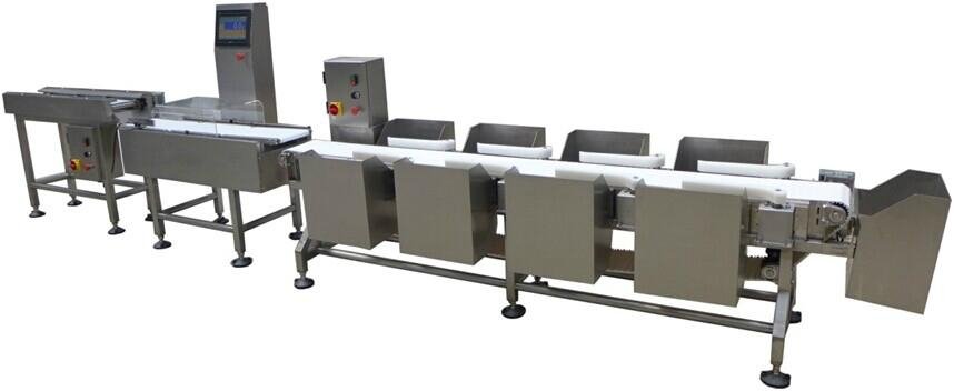 in motion poultry weighing systems 2