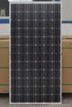 solar module 200W 1