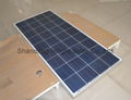 山東太陽能電池板 150W