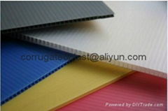 Polypropylene PP Corrugated Sheet