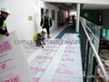 PP Corrugated Board