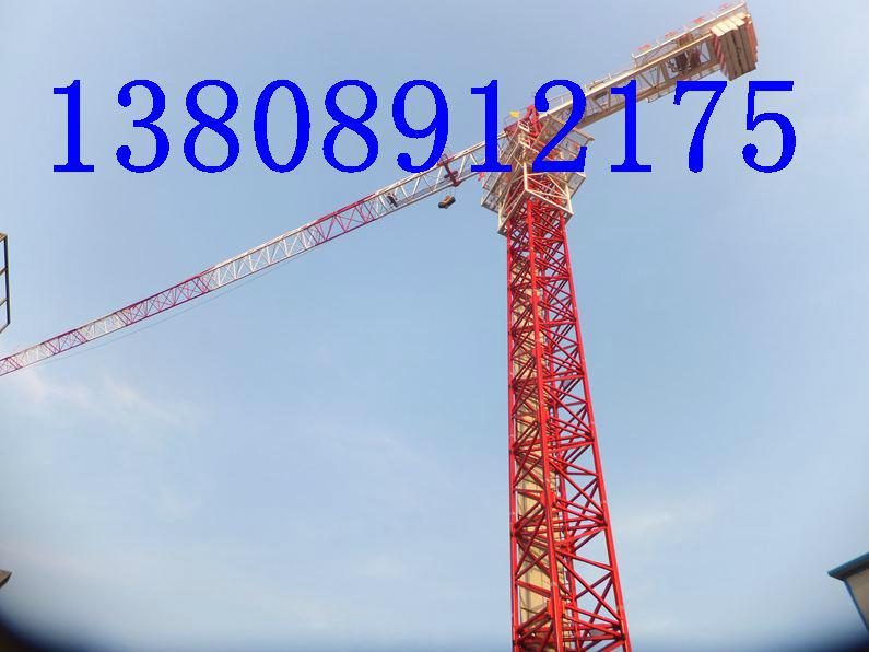 shandhong hongda tower crane 3