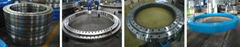 slewing bearing for offshore crane &