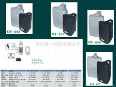 大功率壁挂音箱