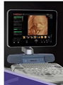GE彩超全身心血管系統B超超聲診斷儀器Vivid 1