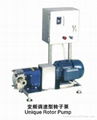 frequency control type rotor pump 1