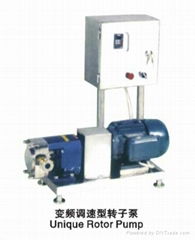 frequency control type rotor pump