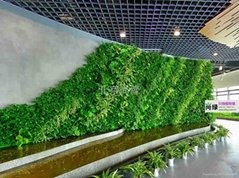 北京水培植物牆