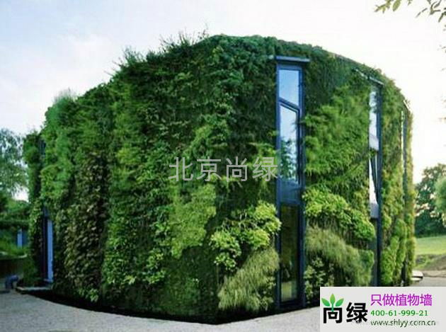 北京植物墙 5