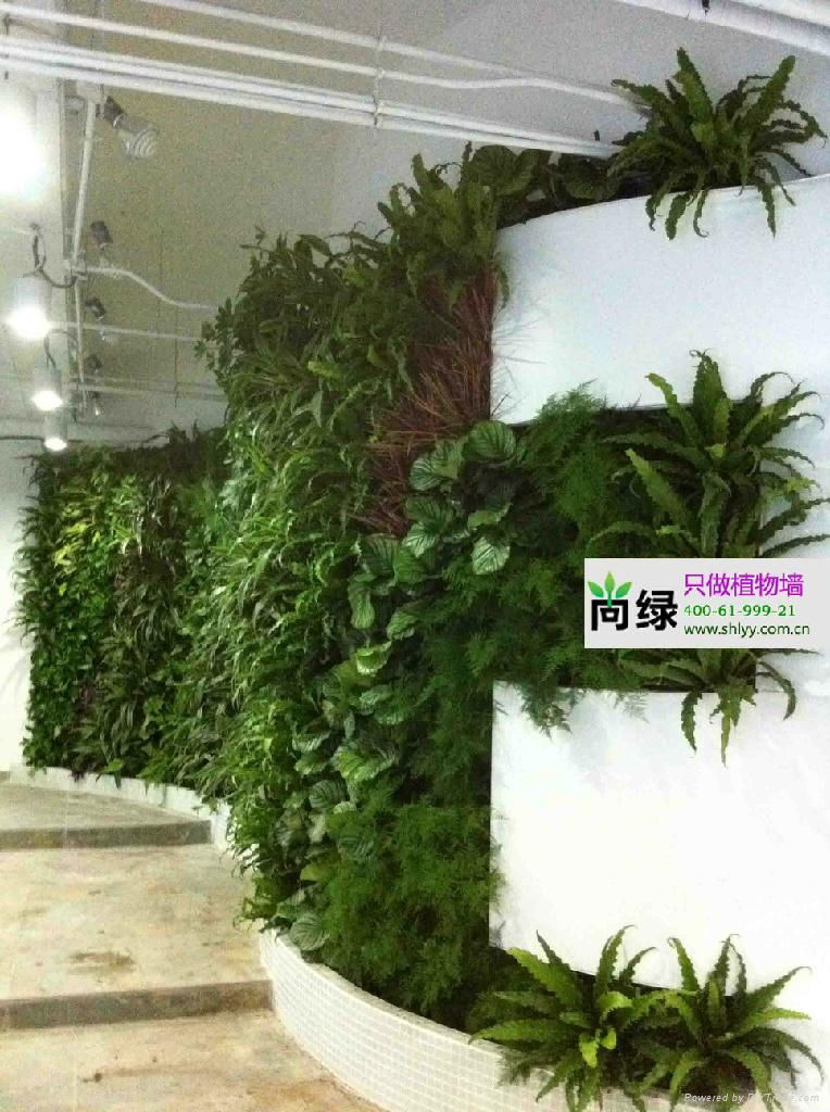 天津植物墙