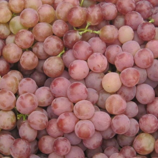 red grape