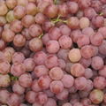 red global grape